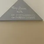 Flower Nel Cuore Della Citta' *