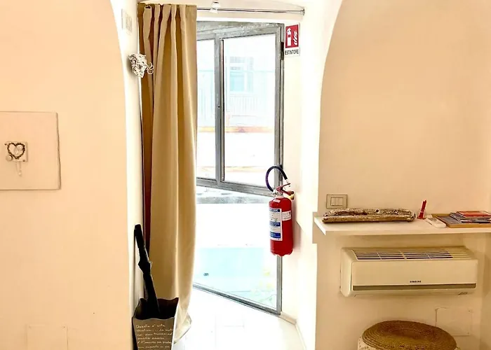 Flower Nel Cuore Della Citta' *