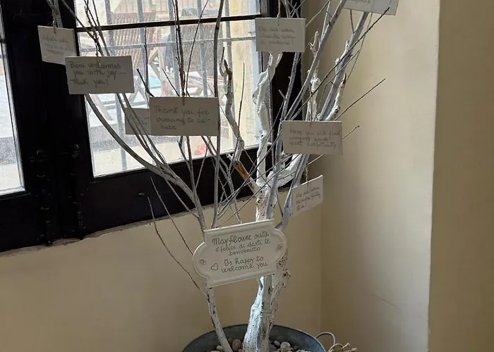 Flower Nel Cuore Della Citta' * Bari