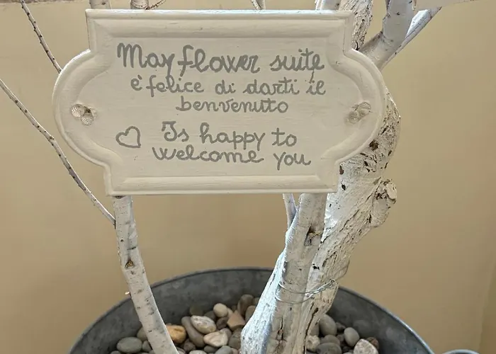 Flower Nel Cuore Della Citta' * Bari