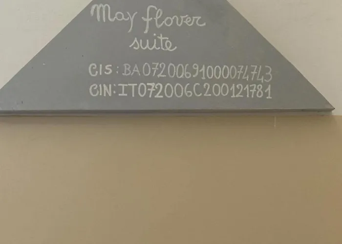 Flower Nel Cuore Della Citta' *